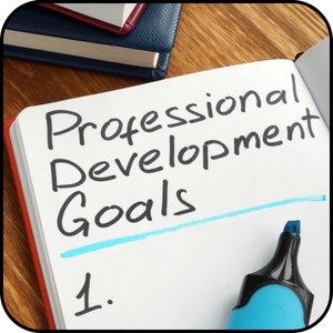 Professional_Development